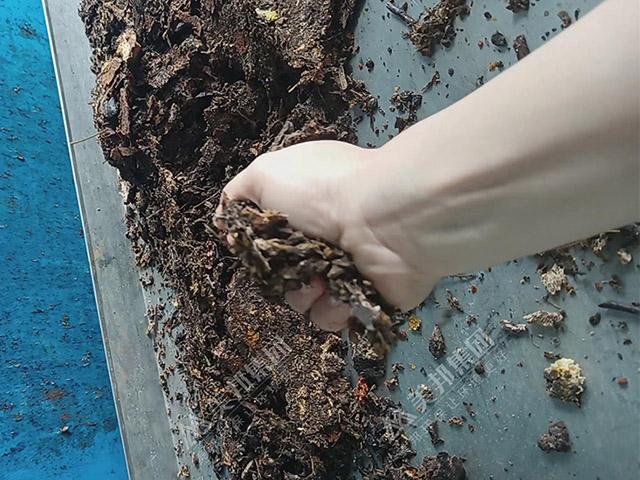 中藥渣脫水處理用帶式壓榨機(jī)效果怎么樣？