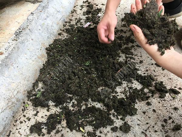 帶式壓榨脫水機(jī)在植物渣處理中的優(yōu)勢(shì)分析