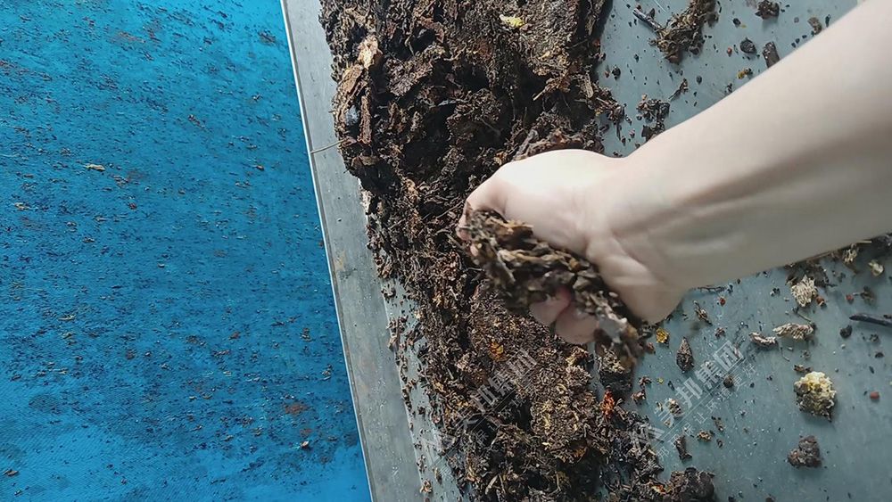 帶式壓榨機處理中藥渣脫水