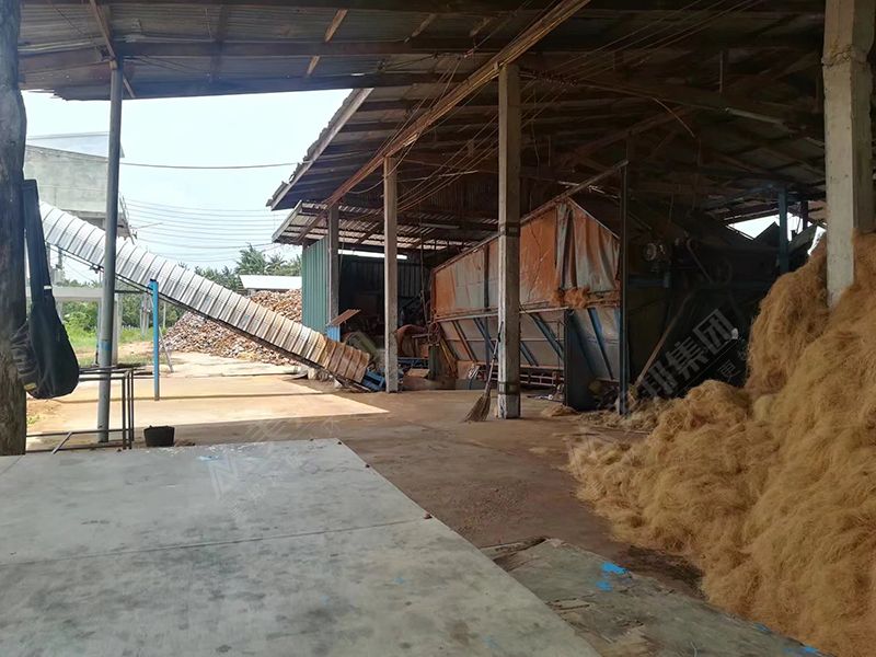 泰國客戶使用美邦帶式壓榨機(jī)處理椰糠脫水