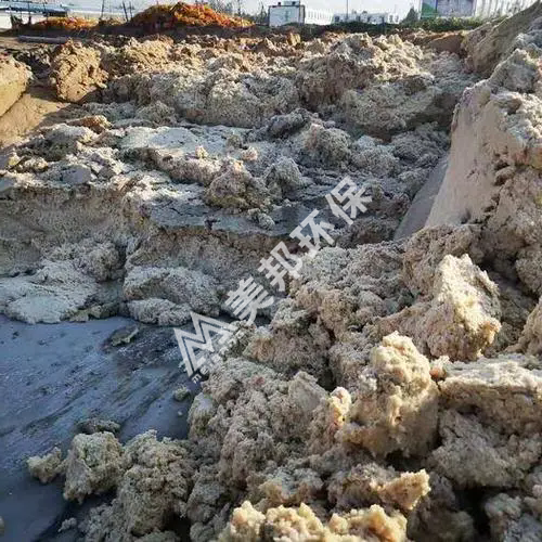 準備用美邦帶式壓榨機脫水處理的土豆渣 準備用美邦帶式壓榨機脫水處理的土豆渣