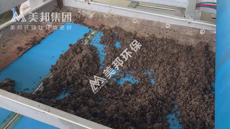 進入帶式壓榨機脫水處理的茶葉渣 進入帶式壓榨機脫水處理的茶葉渣