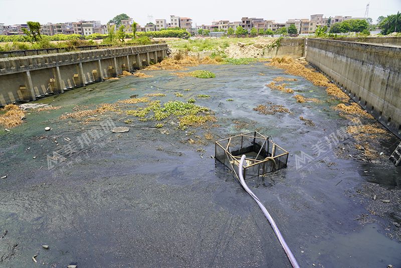 魚(yú)塘淤泥用車載移動(dòng)式壓濾機(jī)處理 魚(yú)塘淤泥用車載移動(dòng)式壓濾機(jī)處理