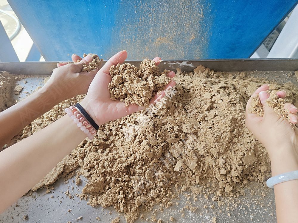 酒糟、啤酒渣用帶式機(jī)處理