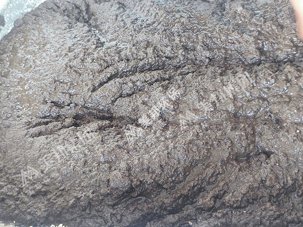 待處理的紙漿 待處理的紙漿